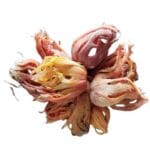 Javitri (Nutmeg Mace) 22 gm