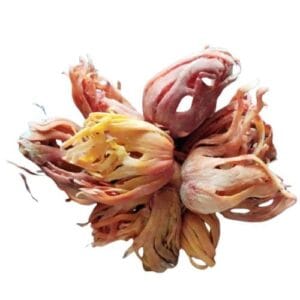 Javitri (Nutmeg Mace) 22 gm