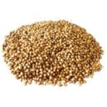 Gota Dhania (Coriander) 50 gm/100 gm