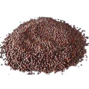 Kala Sarson (Black Mustard) 50 gm/100 gm/250 gm