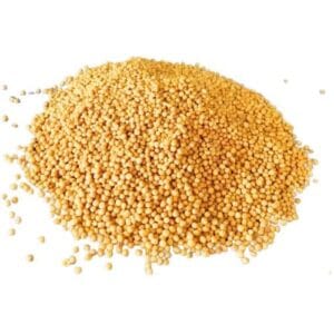 Peeli Sarson (Yellow Mustard Seed) 50 gm/100 gm/250 gm